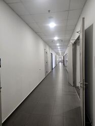 Hh @ Kallang (D13), Factory #591800851